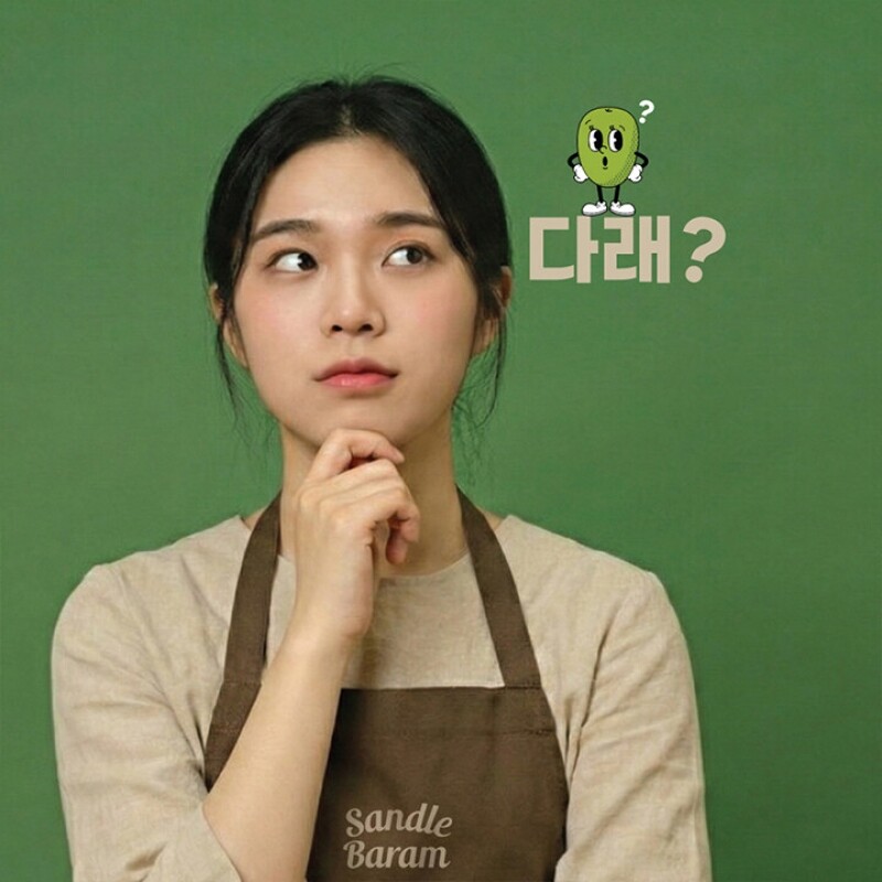 농업회사법인 산들바람(주),산들바람 양당사다 CCAD음료 과일채소100% 국내산 120mL 10개입